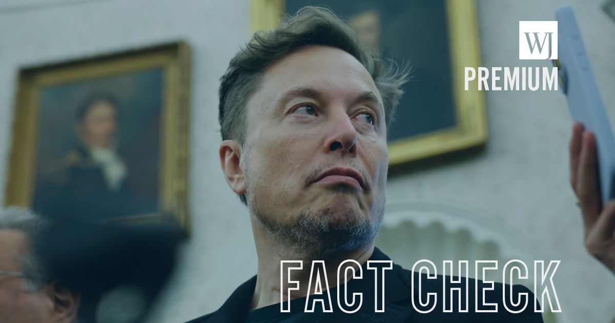 Fact Check: Has Elon Musk Been Banned from Operating Starlink in South Africa Because He's White?